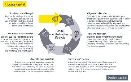 EY COInS lifecycle graphic